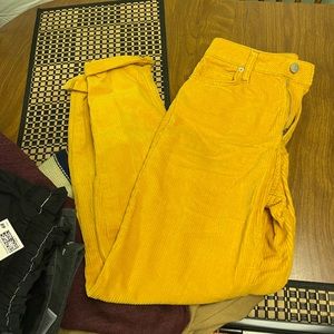 Gold Corduroy BDJ Pants